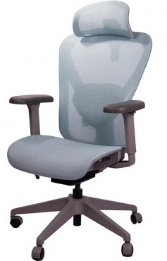 Healthy Chair Q1 Mesh