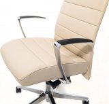 Profoffice Stripe B