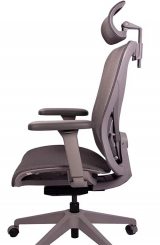 Healthy Chair Q1 Mesh